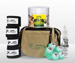 Muscle Kit