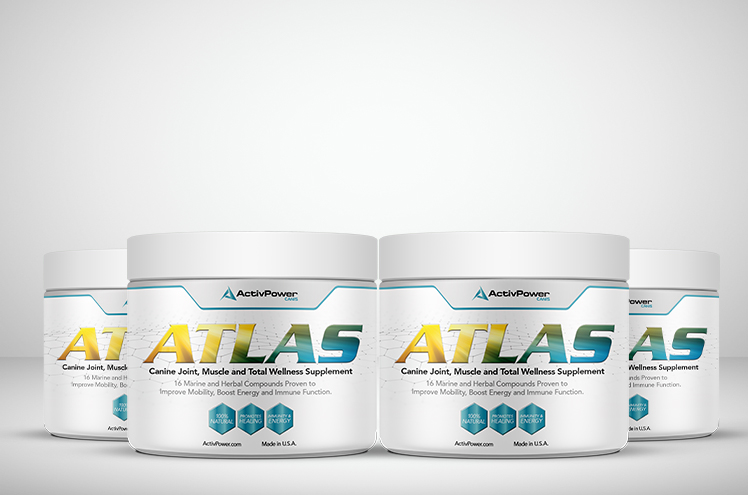 Atlas 4-Pack